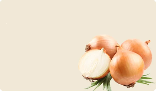fresh onions
