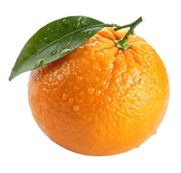 Fresh Orange